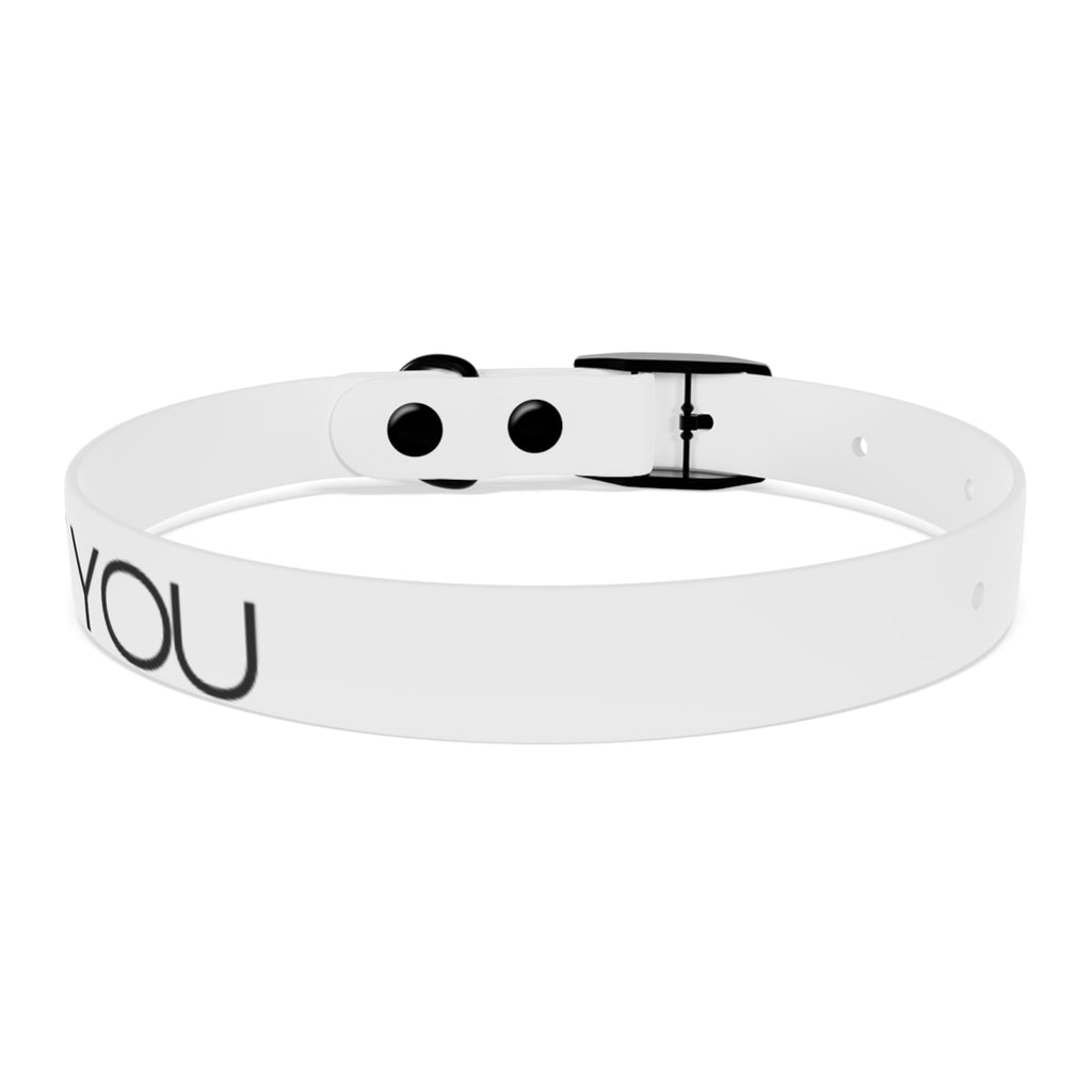 Dog Collar