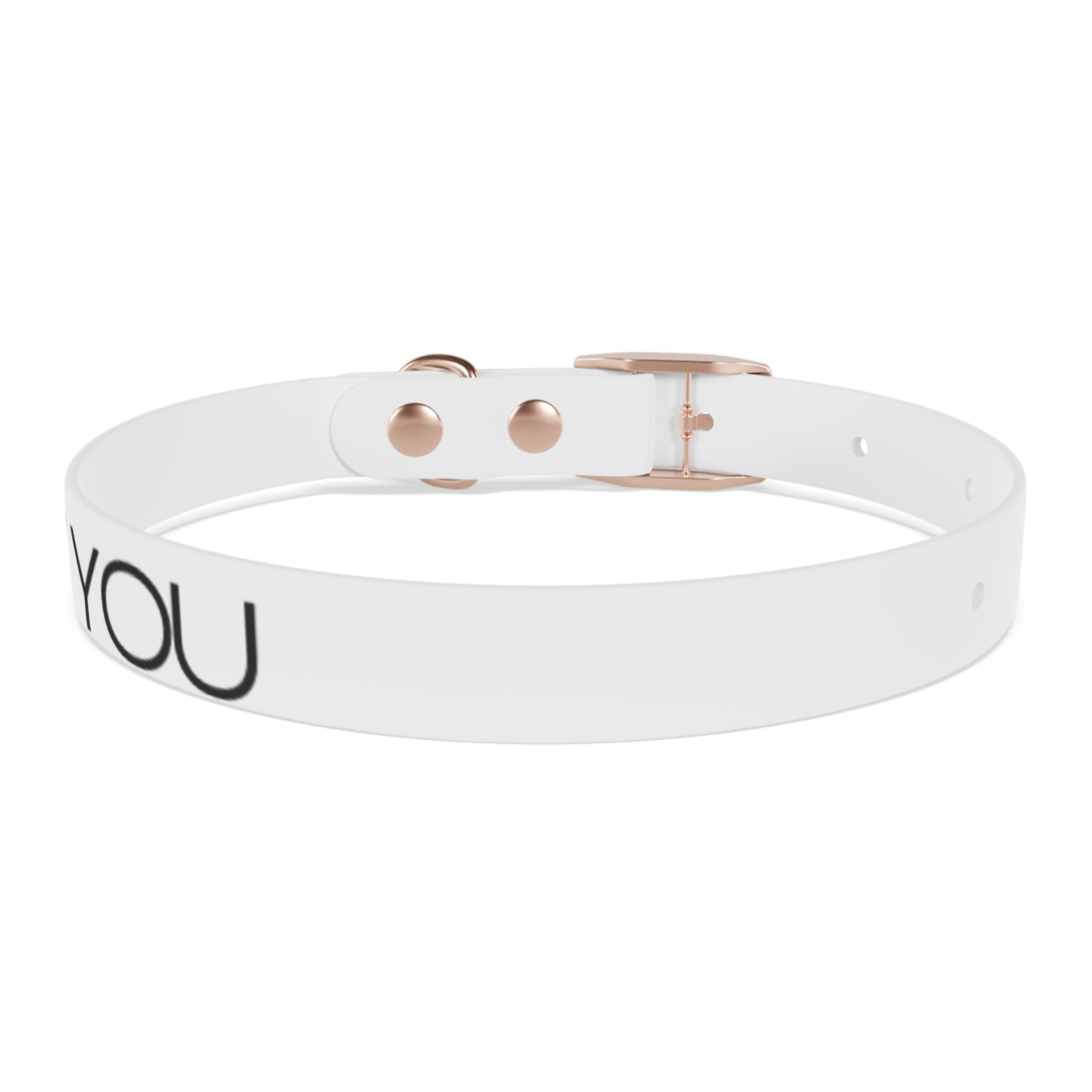 Dog Collar