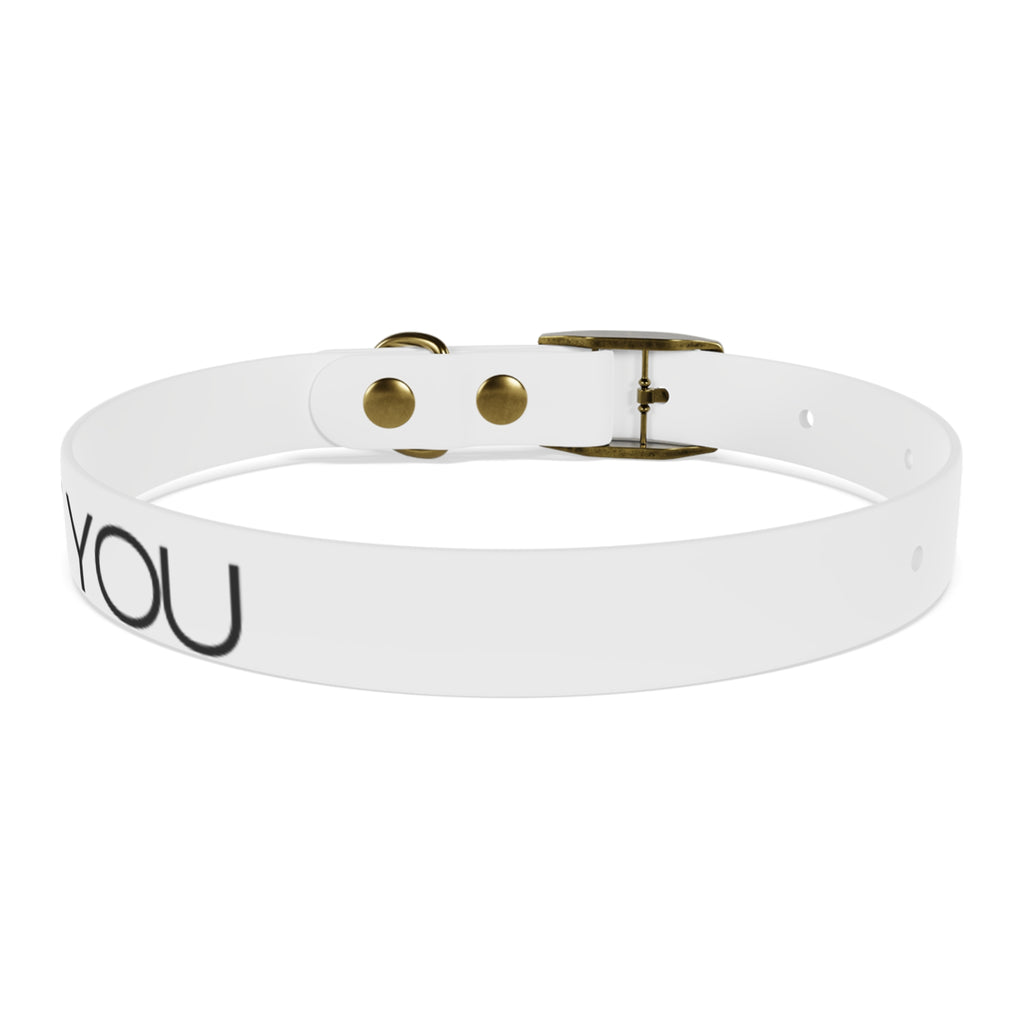 Dog Collar