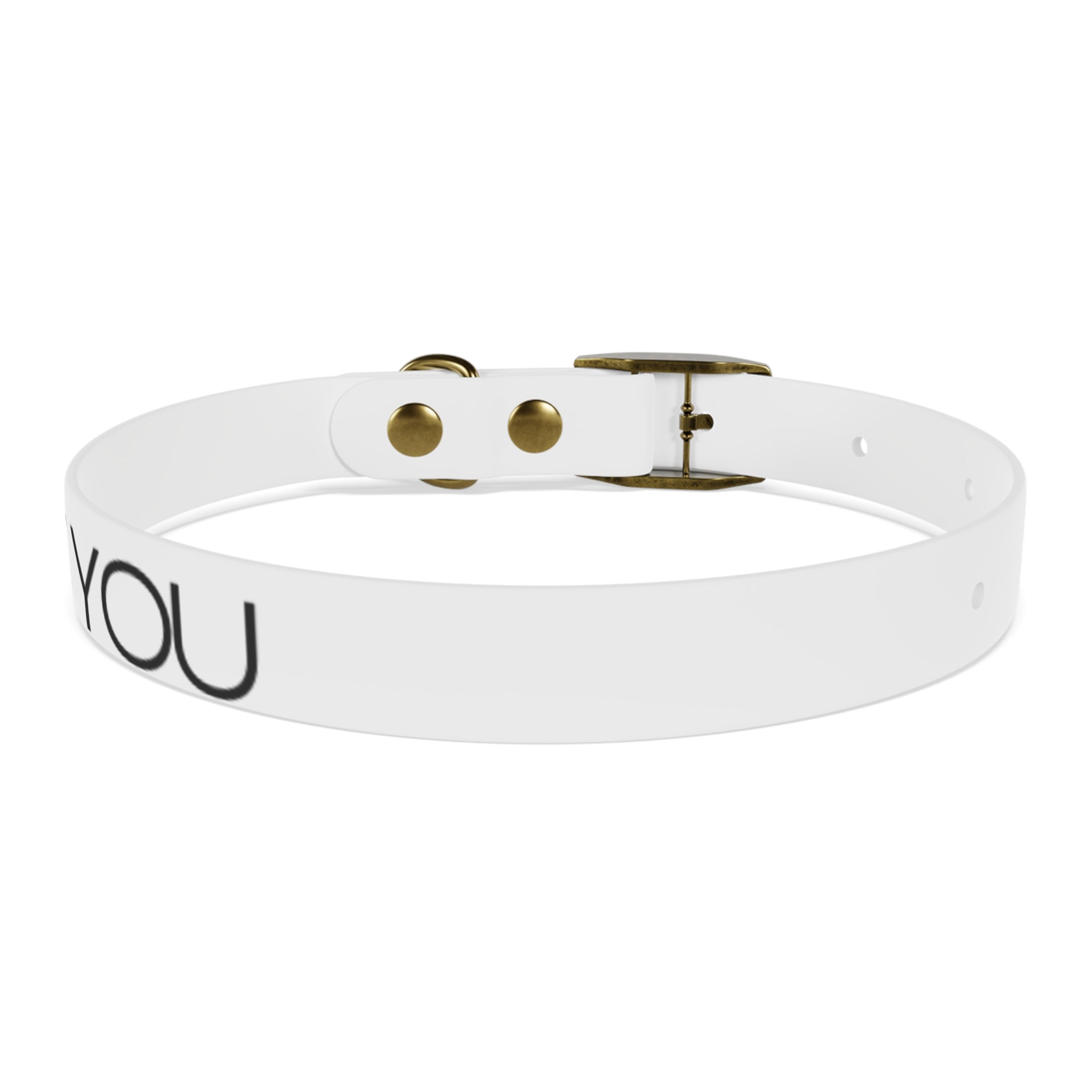 Dog Collar