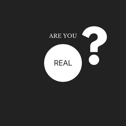 Can Cooler Sleeve — "Are You Real?" Minimalist Question Mark Design